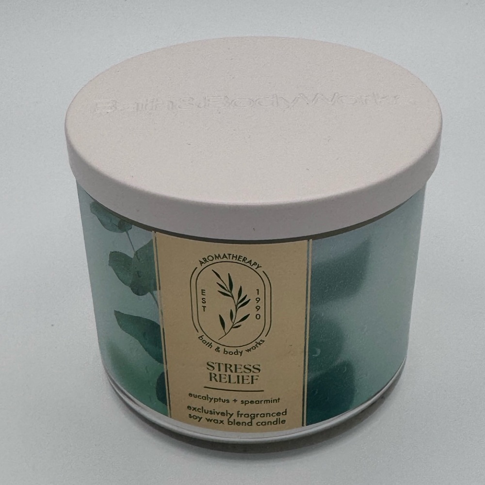 Bath & Body Works Eucalyptus Spearmint Aromatherapy Candle